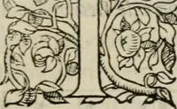 An illustration from La geomance dv Seigneur Christofe de Cattan, gentilhomme Geneuoys. Liure non moins plaisant & recreatif. Auec la roüe de Pythagoras (1558)