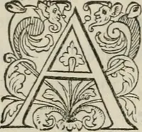 An illustration from La geomance dv Seigneur Christofe de Cattan, gentilhomme Geneuoys. Liure non moins plaisant & recreatif. Auec la roüe de Pythagoras (1558)