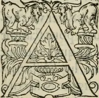 An illustration from La geomance dv Seigneur Christofe de Cattan, gentilhomme Geneuoys. Liure non moins plaisant & recreatif. Auec la roüe de Pythagoras (1558)