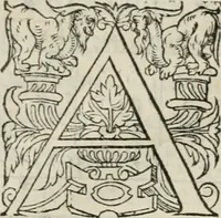 An illustration from La geomance dv Seigneur Christofe de Cattan, gentilhomme Geneuoys. Liure non moins plaisant & recreatif. Auec la roüe de Pythagoras (1558)