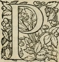 An illustration from La geomance dv Seigneur Christofe de Cattan, gentilhomme Geneuoys. Liure non moins plaisant & recreatif. Auec la roüe de Pythagoras (1558)