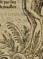 An illustration from La geomance dv Seigneur Christofe de Cattan, gentilhomme Geneuoys. Liure non moins plaisant & recreatif. Auec la roüe de Pythagoras (1558)