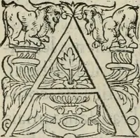 An illustration from La geomance dv Seigneur Christofe de Cattan, gentilhomme Geneuoys. Liure non moins plaisant & recreatif. Auec la roüe de Pythagoras (1558)