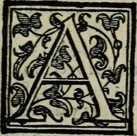 An illustration from La gloria del cavallo. Opera dell' illvst. sig. Pasqual Caracciolo...Di nuouo ricorretta, e ristampata: & in quest' vltima edittione aggiunteui le postille .. (1608)