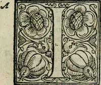 An illustration from La gloria del cavallo. Opera dell' illvst. sig. Pasqual Caracciolo...Di nuouo ricorretta, e ristampata: & in quest' vltima edittione aggiunteui le postille .. (1608)