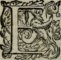 An illustration from La gloria del cavallo. Opera dell' illvst. sig. Pasqual Caracciolo...Di nuouo ricorretta, e ristampata: & in quest' vltima edittione aggiunteui le postille .. (1608)