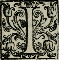 An illustration from La gloria del cavallo. Opera dell' illvst. sig. Pasqual Caracciolo...Di nuouo ricorretta, e ristampata: & in quest' vltima edittione aggiunteui le postille .. (1608)