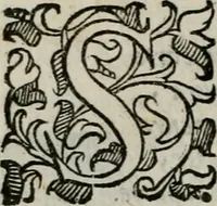Picture 8 of 35 from La gloria del cavallo. Opera dell' illvst. sig. Pasqual Caracciolo...Di nuouo ricorretta, e ristampata: & in quest' vltima edittione aggiunteui le postille .. (1608), leaf 19