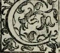 An illustration from La gloria del cavallo. Opera dell' illvst. sig. Pasqual Caracciolo...Di nuouo ricorretta, e ristampata: & in quest' vltima edittione aggiunteui le postille .. (1608)