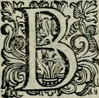 An illustration from La gloria del cavallo. Opera dell' illvst. sig. Pasqual Caracciolo...Di nuouo ricorretta, e ristampata: & in quest' vltima edittione aggiunteui le postille .. (1608)