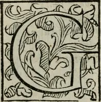 An illustration from La gloria del cavallo. Opera dell' illvst. sig. Pasqual Caracciolo...Di nuouo ricorretta, e ristampata: & in quest' vltima edittione aggiunteui le postille .. (1608)