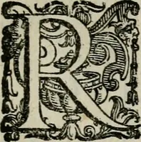An illustration from La gloria del cavallo. Opera dell' illvst. sig. Pasqual Caracciolo...Di nuouo ricorretta, e ristampata: & in quest' vltima edittione aggiunteui le postille .. (1608)