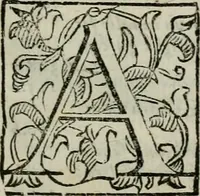 An illustration from La gloria del cavallo. Opera dell' illvst. sig. Pasqual Caracciolo...Di nuouo ricorretta, e ristampata: & in quest' vltima edittione aggiunteui le postille .. (1608)