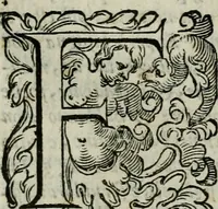 An illustration from La gloria del cavallo. Opera dell' illvst. sig. Pasqual Caracciolo...Di nuouo ricorretta, e ristampata: & in quest' vltima edittione aggiunteui le postille .. (1608)