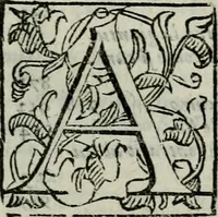 Picture 17 of 35 from La gloria del cavallo. Opera dell' illvst. sig. Pasqual Caracciolo...Di nuouo ricorretta, e ristampata: & in quest' vltima edittione aggiunteui le postille .. (1608), leaf 50