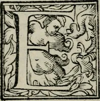 An illustration from La gloria del cavallo. Opera dell' illvst. sig. Pasqual Caracciolo...Di nuouo ricorretta, e ristampata: & in quest' vltima edittione aggiunteui le postille .. (1608)