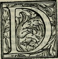 An illustration from La gloria del cavallo. Opera dell' illvst. sig. Pasqual Caracciolo...Di nuouo ricorretta, e ristampata: & in quest' vltima edittione aggiunteui le postille .. (1608)