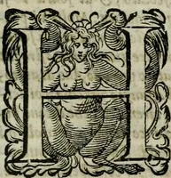 An illustration from La gloria del cavallo. Opera dell' illvst. sig. Pasqual Caracciolo...Di nuouo ricorretta, e ristampata: & in quest' vltima edittione aggiunteui le postille .. (1608)