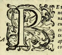 An illustration from La gloria del cavallo (1608)