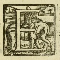 Picture 23 of 23 from La gloria del cavallo (1608), leaf 1151