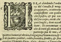 An illustration from La gloria del cavallo (1608)
