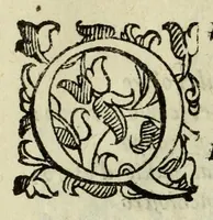 Picture 7 of 23 from La gloria del cavallo (1608), leaf 22