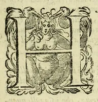 Picture 15 of 23 from La gloria del cavallo (1608), leaf 593