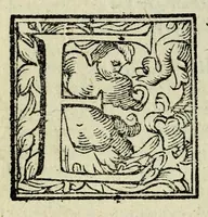 Picture 16 of 23 from La gloria del cavallo (1608), leaf 688