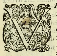Picture 4 of 23 from La gloria del cavallo (1608), leaf 7