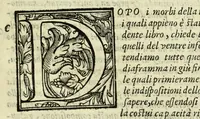 An illustration from La gloria del cavallo (1608)
