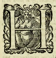 An illustration from La gloria del cavallo (1608)