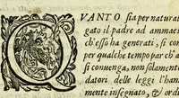 An illustration from La gloria del cavallo (1608)
