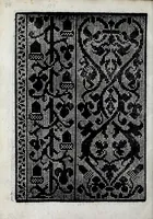 Picture 11 of 14 from La gloria e l'honore de ponti tagliati, e ponti in aere, & ponti in stiora a fogliami : opera noua, et con somma diligentia posta in luce (1563), leaf 30