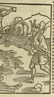 An illustration from La gra[n]t nef des folz du mo[n]de .