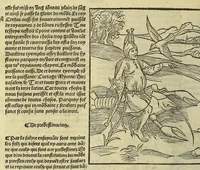 Picture 7 of 12 from La gra[n]t nef des folz du mo[n]de ., leaf 78