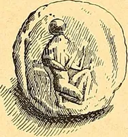 Picture 31 of 137 from La gravure en pierres fines : camées et intailles (1894), leaf 83