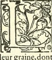 Picture 58 of 125 from L'agriculture et maison rustique; en laquelle est contenu tout ce qui peut estre requis, pour bastir maison champestre, nourrir & medeciner bestiail & volaille de toutes fortes, dresser iardins ... entretenir les prez, viuiers & estangs ... Plus vn bref recueil de la chasse & de la fauconnerie (1564), leaf 143