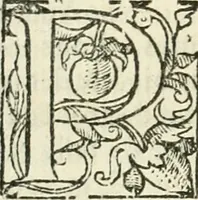 An illustration from L'agriculture et maison rustique; en laquelle est contenu tout ce qui peut estre requis, pour bastir maison champestre, nourrir & medeciner bestiail & volaille de toutes fortes, dresser iardins ... entretenir les prez, viuiers & estangs ... Plus vn bref recueil de la chasse & de la fauconnerie (1564)