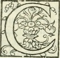 An illustration from L'agriculture et maison rustique; en laquelle est contenu tout ce qui peut estre requis, pour bastir maison champestre, nourrir & medeciner bestiail & volaille de toutes fortes, dresser iardins ... entretenir les prez, viuiers & estangs ... Plus vn bref recueil de la chasse & de la fauconnerie (1564)