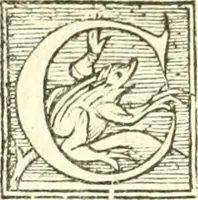 An illustration from L'agriculture et maison rustique; en laquelle est contenu tout ce qui peut estre requis, pour bastir maison champestre, nourrir & medeciner bestiail & volaille de toutes fortes, dresser iardins ... entretenir les prez, viuiers & estangs ... Plus vn bref recueil de la chasse & de la fauconnerie (1564)