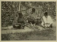 An illustration from La Guinée française: races, religions, coutumes, production, commerce (1907)