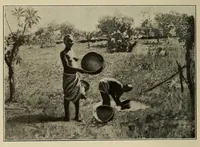 An illustration from La Guinée française: races, religions, coutumes, production, commerce (1907)