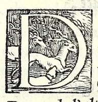 Picture 4 of 6 from La Hecvba; tragedia (1543), leaf 66
