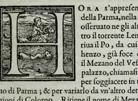 Picture 3 of 11 from La historia della città di Parma, et la descrittione del fivme Parma (1591), leaf 21