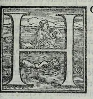 Picture 5 of 11 from La historia della città di Parma, et la descrittione del fivme Parma (1591), leaf 251