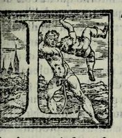 An illustration from La historia della città di Parma, et la descrittione del fivme Parma (1591)
