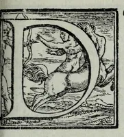 Picture 10 of 11 from La historia della città di Parma, et la descrittione del fivme Parma (1591), leaf 777
