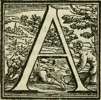 An illustration from La historia d'Italia ...: nuouamente rescontrata con tutti gli altri historici & auttori, che dell'istesse cose habbiano scritto: & ornata in margine con l'annotationi de' riscontri fatti da Thomaso Porcacchi da Castiglione Arretino. Con un Guidicio fatto dal medesimo, per discoprir tutte le bellezze di questa Historia: & una Raccolta di tutte le sententie sparse per l'opera: et con due tauole: una de gli auttori citati in margine; & l'altra delle cose notabili (1574)