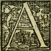 An illustration from La historia d'Italia ...: nuouamente rescontrata con tutti gli altri historici & auttori, che dell'istesse cose habbiano scritto: & ornata in margine con l'annotationi de' riscontri fatti da Thomaso Porcacchi da Castiglione Arretino. Con un Guidicio fatto dal medesimo, per discoprir tutte le bellezze di questa Historia: & una Raccolta di tutte le sententie sparse per l'opera: et con due tauole: una de gli auttori citati in margine; & l'altra delle cose notabili (1574)