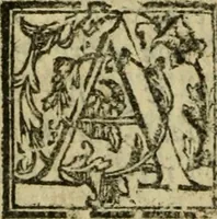 An illustration from La historia d'Italia ...: nuouamente rescontrata con tutti gli altri historici & auttori, che dell'istesse cose habbiano scritto: & ornata in margine con l'annotationi de' riscontri fatti da Thomaso Porcacchi da Castiglione Arretino. Con un Guidicio fatto dal medesimo, per discoprir tutte le bellezze di questa Historia: & una Raccolta di tutte le sententie sparse per l'opera: et con due tauole: una de gli auttori citati in margine; & l'altra delle cose notabili (1574)